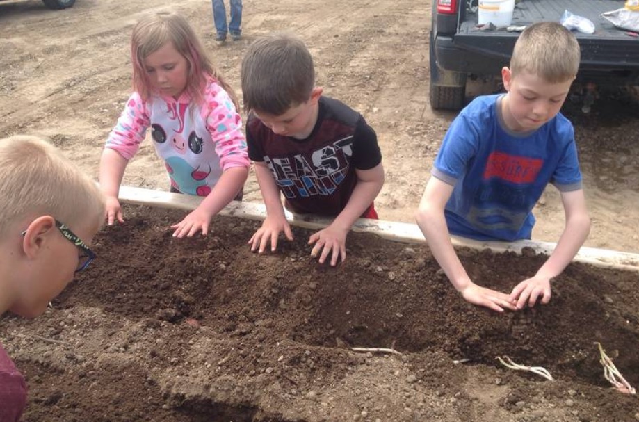 Students (L to R) Jack Burt, Emma Green, Gavin King and Carter Burton planted some potatoes in the community garden box (Photo credit: Valmont Academy)