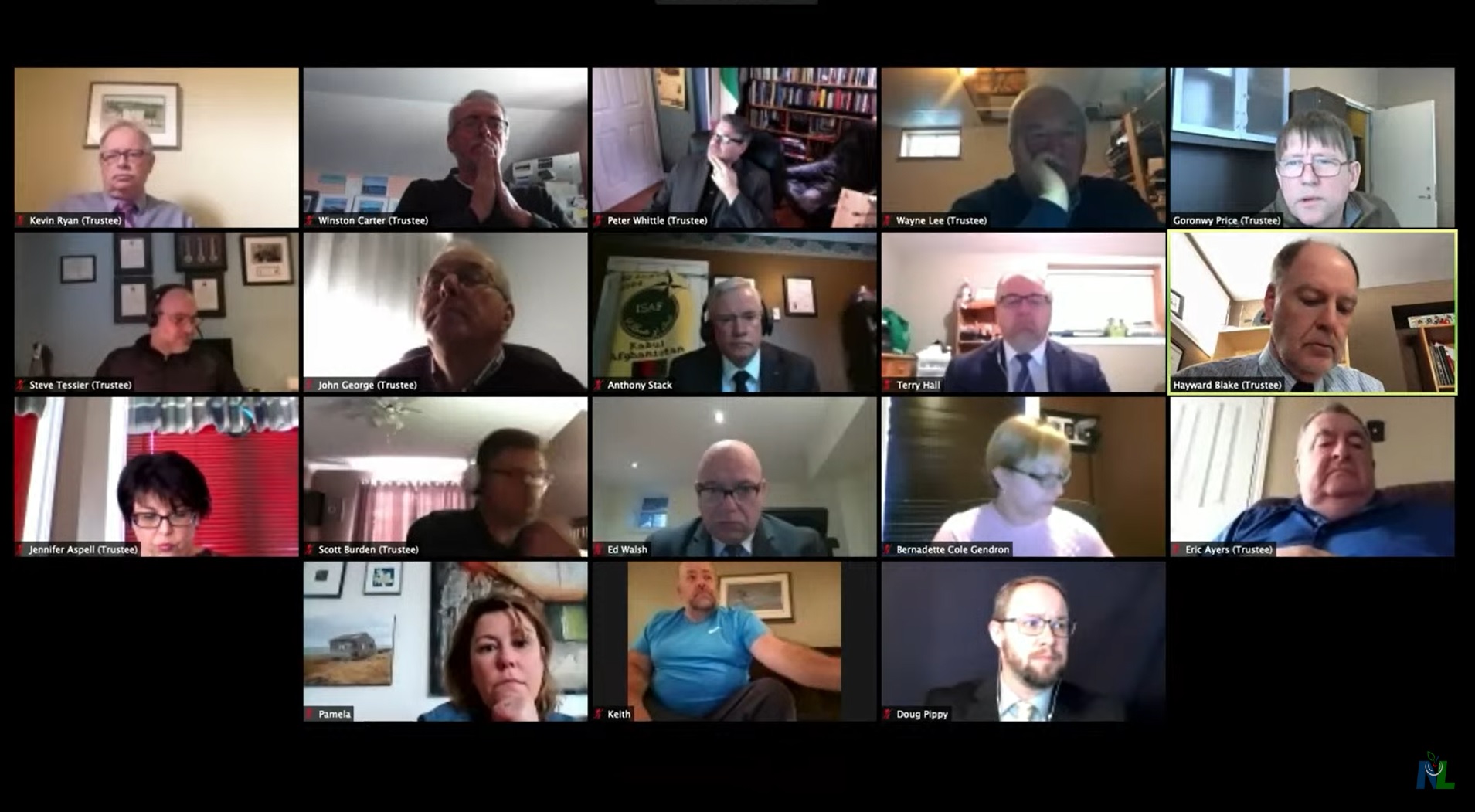 Board members at their first public virtual board meeting, in March, 2020