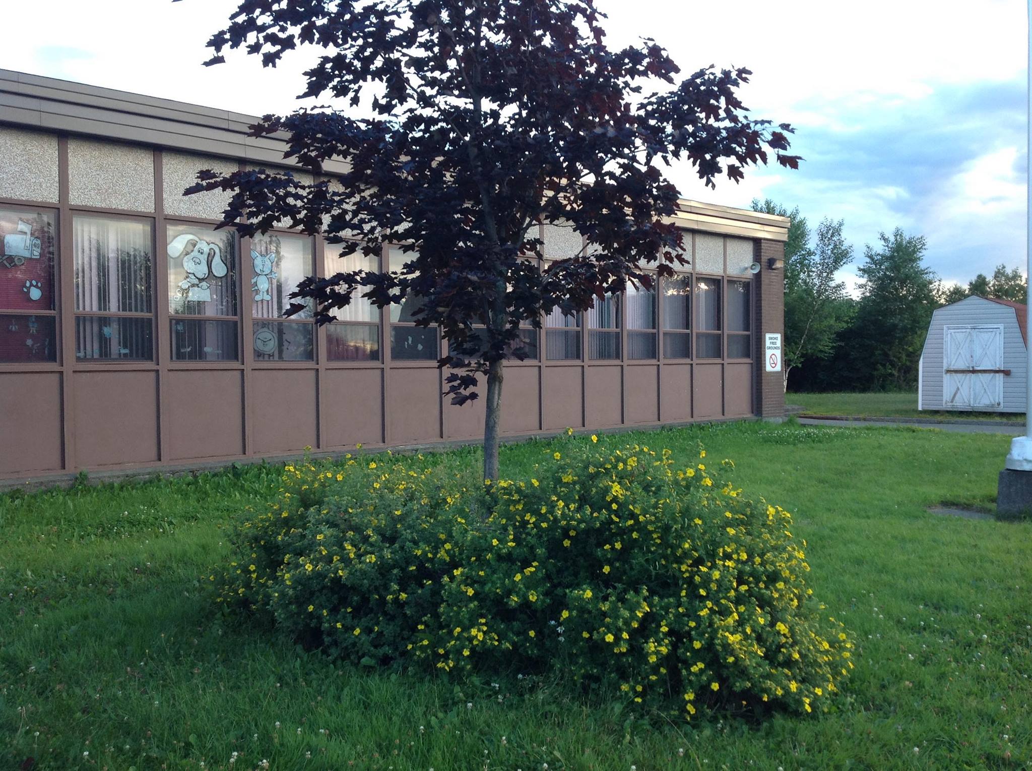 Woodland Primary photo