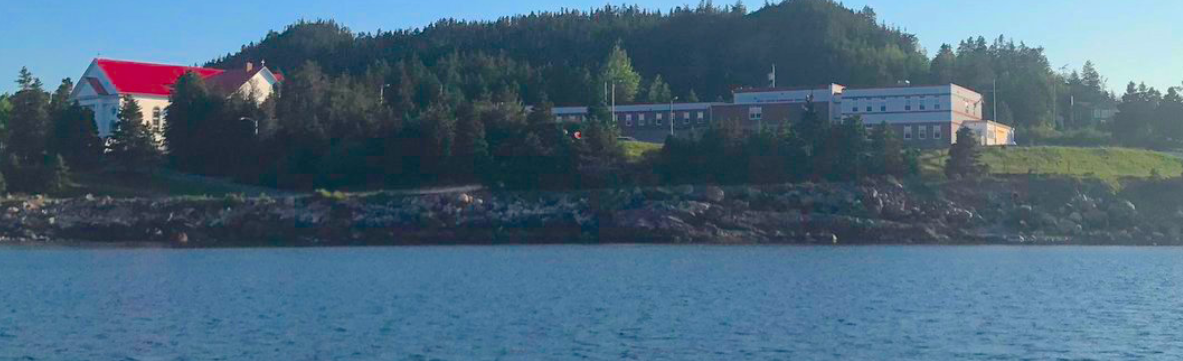 Holy Cross Elementary (Holyrood) photo